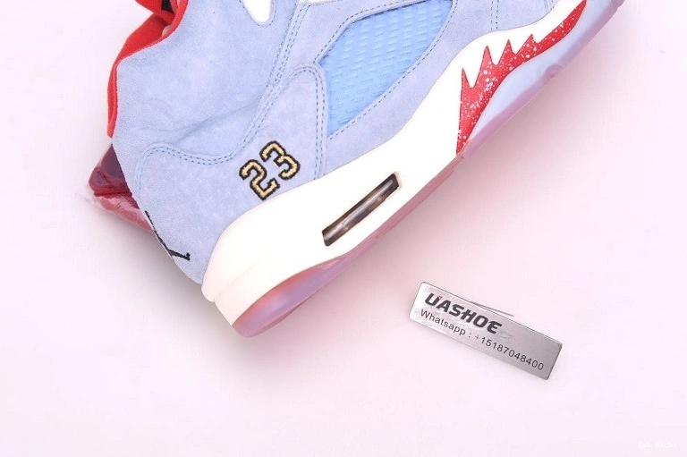 5 Jordan Trophy Ice Blue CI1899 Retro  400  Room - 1020
